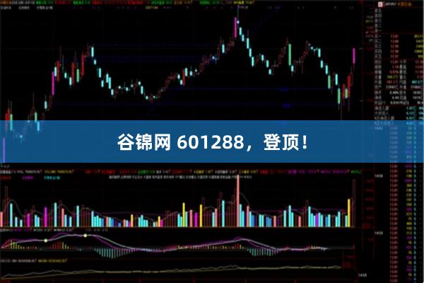 谷锦网 601288，登顶！