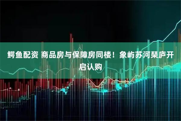 鳄鱼配资 商品房与保障房同楼！象屿苏河琹庐开启认购