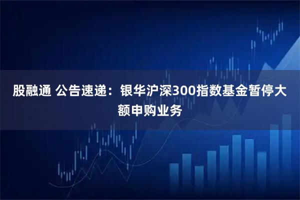 股融通 公告速递：银华沪深300指数基金暂停大额申购业务