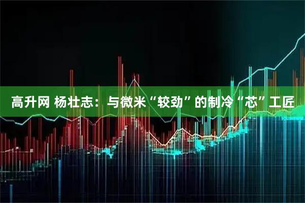 高升网 杨壮志：与微米“较劲”的制冷“芯”工匠